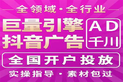 搜索引擎优化（SEO）与竞价广告（SEM）的对比案例